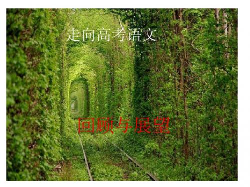 回顾与展望——2014新课标高考语文讲座