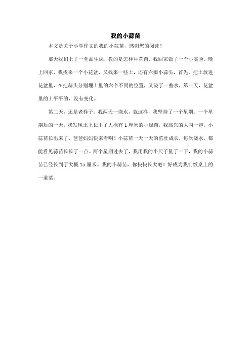 我的小蒜苗_小学作文