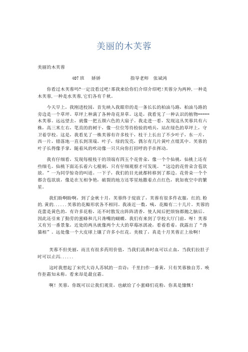 小学记叙文 美丽的木芙蓉-精品