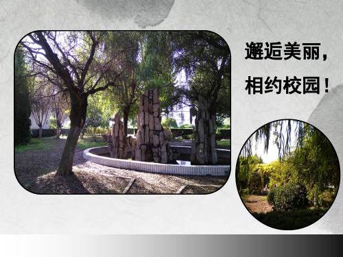 苏少版八年级下册美术：第4课 水墨交融写青山