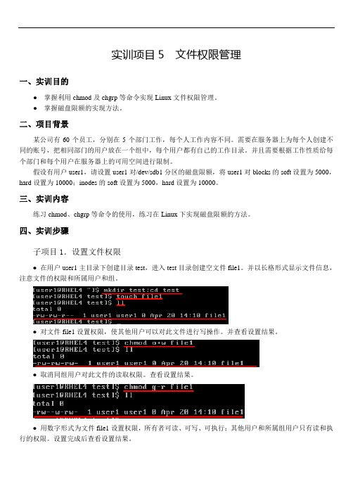 实验  文件权限管理