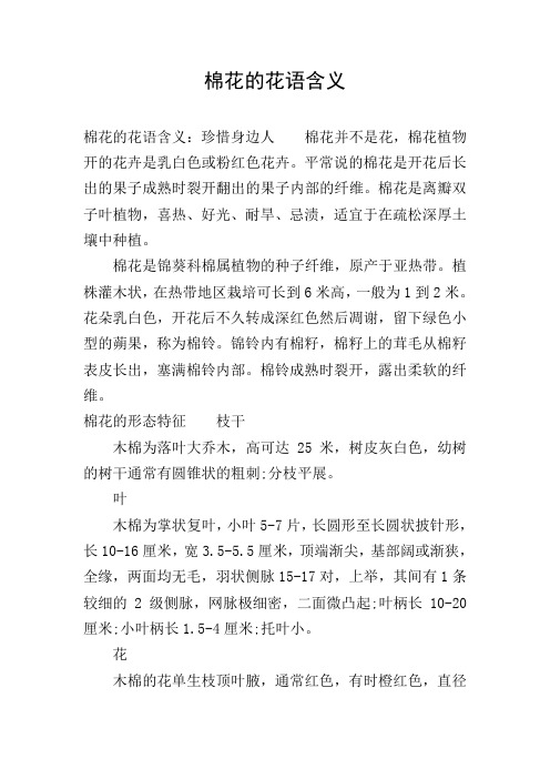 棉花的花语含义