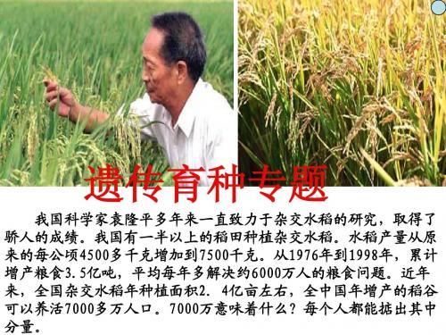 高三一轮复习    育种上课