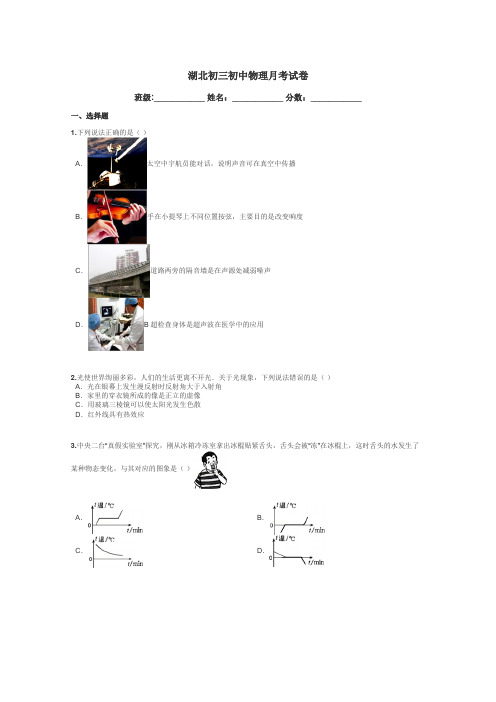 湖北初三初中物理月考试卷带答案解析
