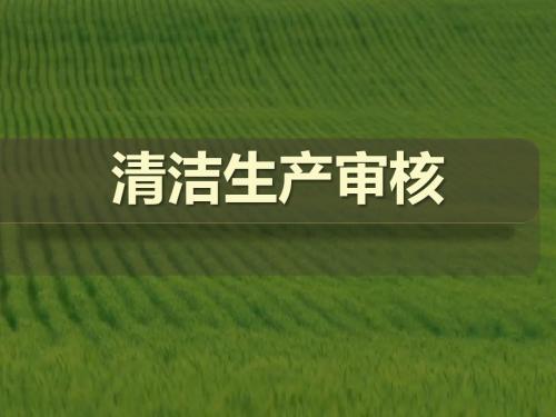 重点企业清洁生产审核