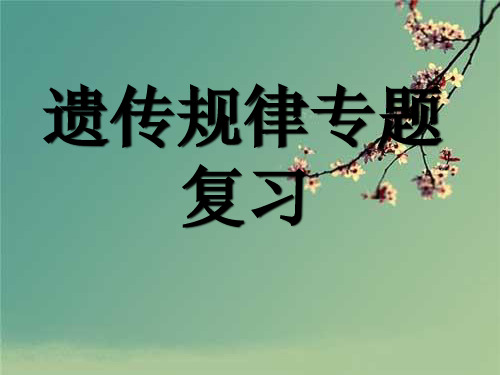 2020年高考生物 遗传规律专题复习课件 新人教版 (2).ppt