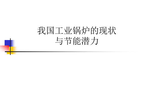 我国工业锅炉的现状..