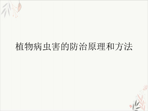 植物病虫害的防治原理和方法PPT.