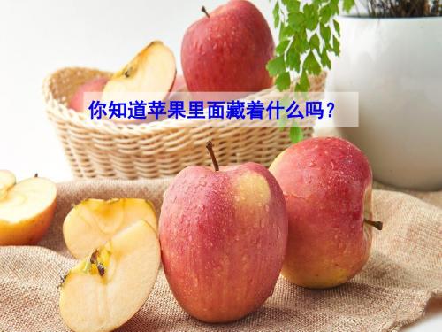 《苹果里的五角星》第一课时PPT课件