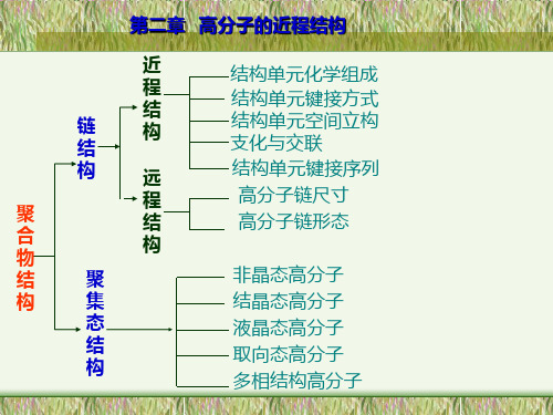 第二章 高分子的近程结构PPT课件
