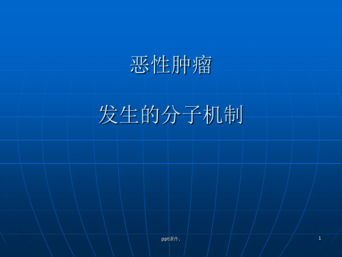 分子生物学恶性肿瘤发生的分子机制ppt课件