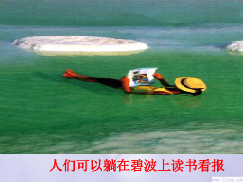 新《死海不死》