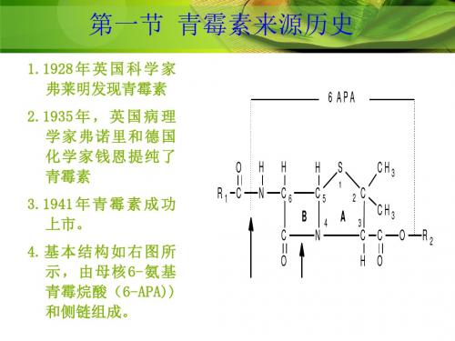 青霉素及碳青霉烯31页PPT文档