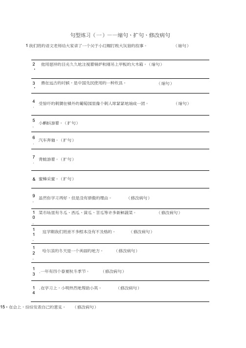 (word完整版)五年级语文句型练习