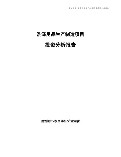 洗涤用品生产制造项目投资分析报告