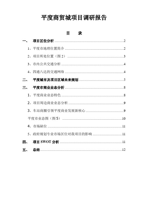 平度市商贸城项目调研报告