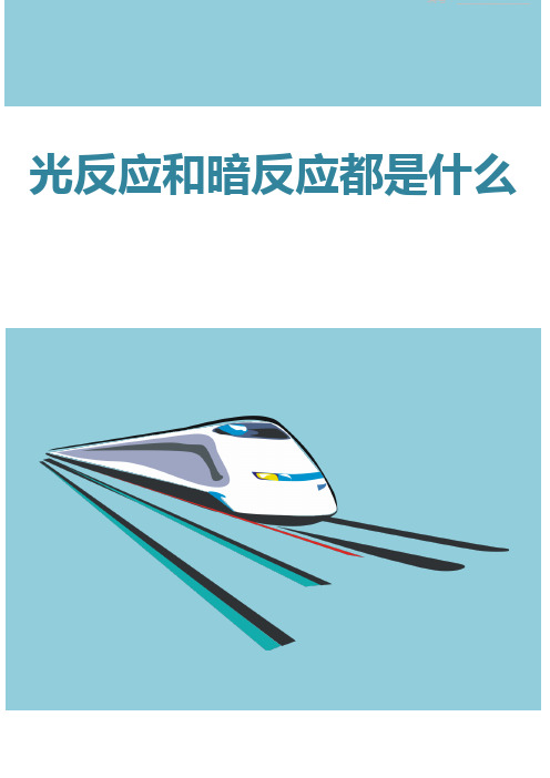 光反应和暗反应都是什么