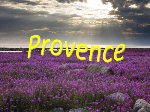 普罗旺斯英文简介 provence