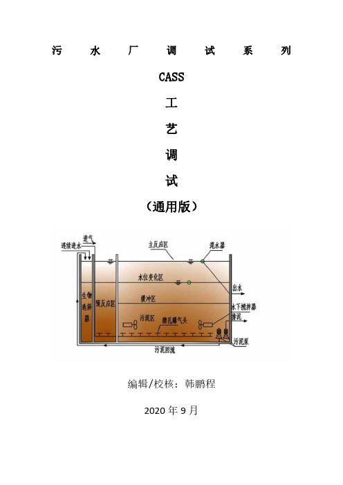 污水厂调试系列之CASS工艺调试(通用版)