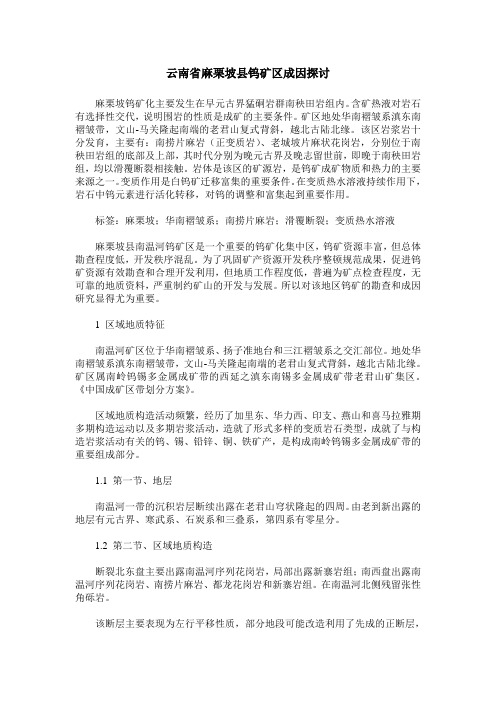云南省麻栗坡县钨矿区成因探讨