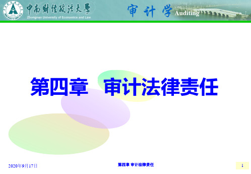 第四章 审计法律责任资料