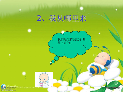 青岛小学科学六下《2. 我从哪里来》PPT课件 (3)