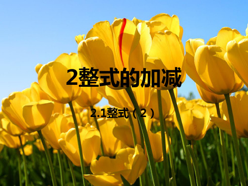 人教版七年级数学上册2.1整式2课件 (共18张PPT)
