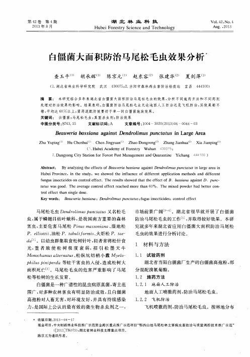 白僵菌大面积防治马尾松毛虫效果分析