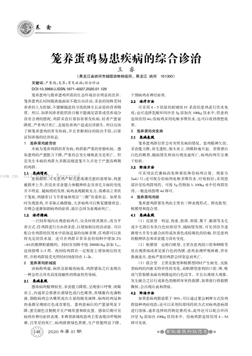 笼养蛋鸡易患疾病的综合诊治