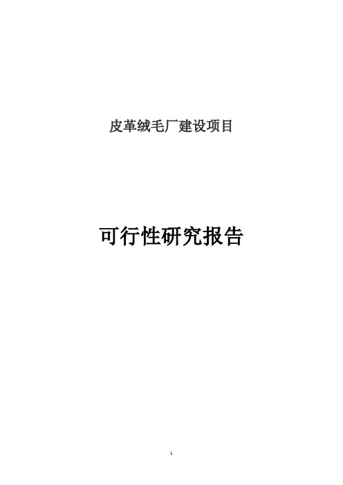 皮革绒毛厂建设项目可行性研究报告