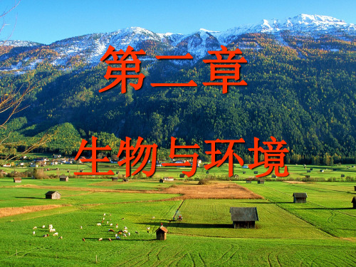 第二章 生物与环境