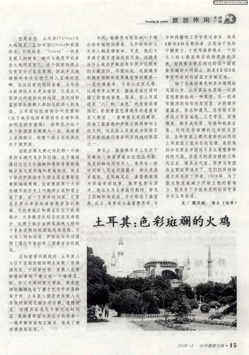 土耳其：色彩斑斓的火鸡