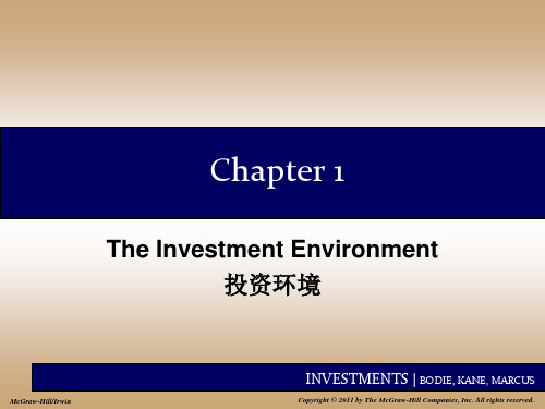 Chap001投资环境