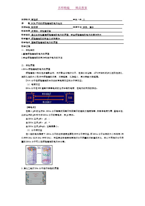 实验六PCR产物的琼脂糖凝胶电泳检测-教案