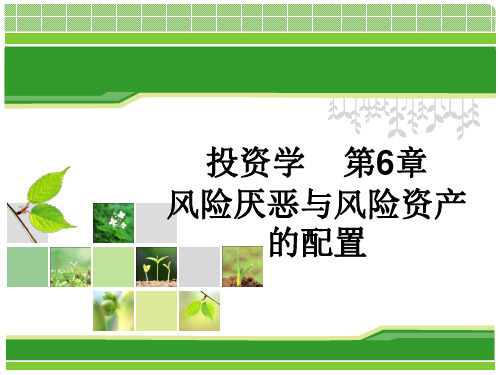 第六章风险厌恶与风险资产的配置