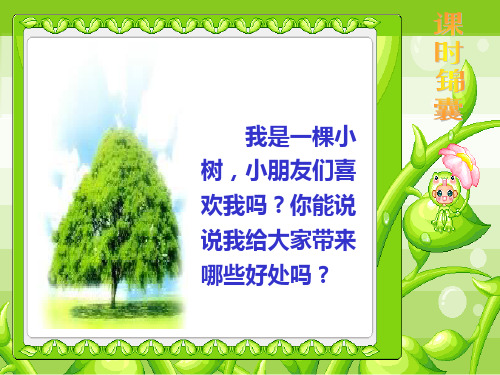 5《爷爷和小树》课件