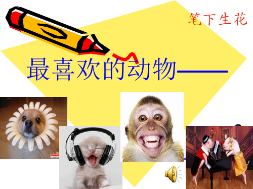习作__动物小档案