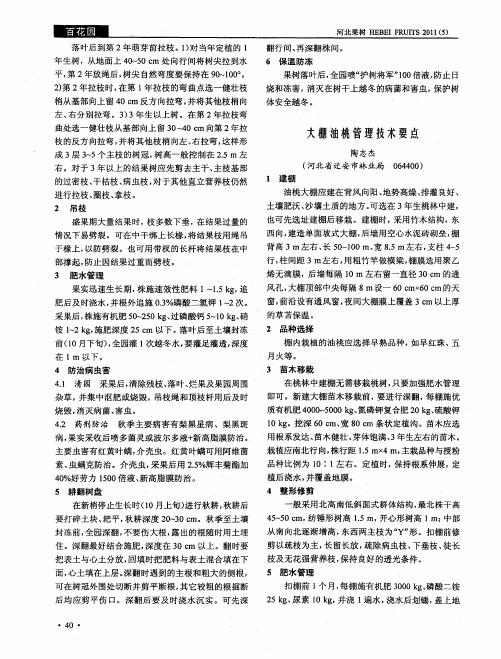 大棚油桃管理技术要点