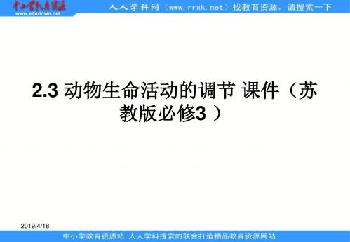 苏教版必修3第三节《动物生命活动的调节》ppt课件1