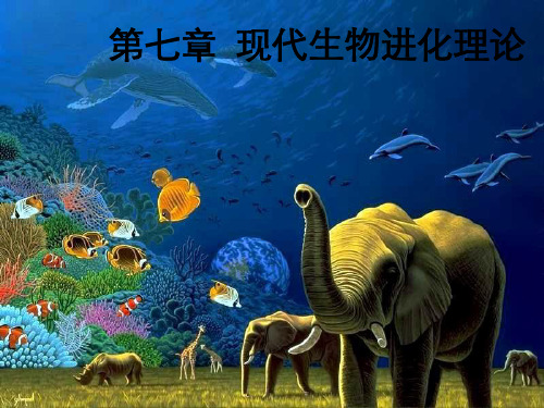 现代生物进化理论一轮复习公开课