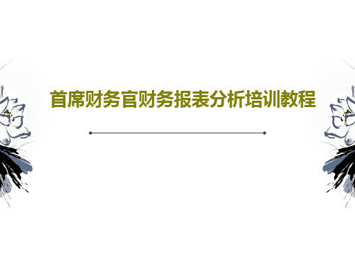 首席财务官财务报表分析培训教程PPT185页