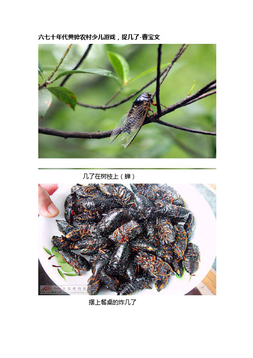 六七十年代黄骅农村少儿游戏捉几了