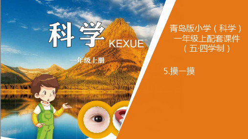 5新青岛版小学科学五年制一年级上册.《摸一摸》教学课件