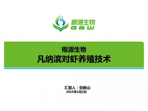 凡纳滨对虾养殖的养殖技术