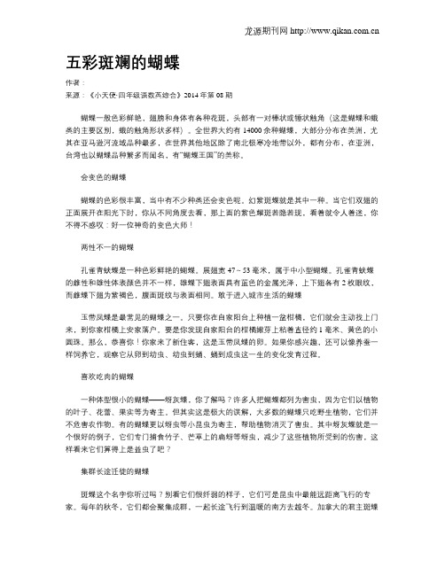 五彩斑斓的蝴蝶