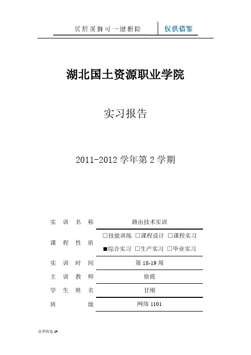 路由技术实训报告(业界借鉴)