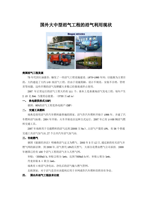 国外大中型沼气工程的沼气利用现状