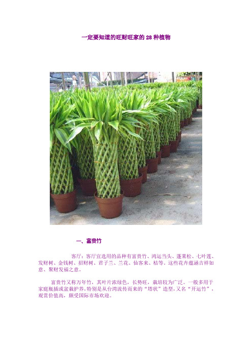 一定要知道的旺财旺家的28种植物