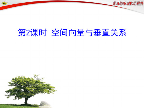 2014 2015年世纪金榜优质课件高中数学选修2 1多媒体教学优质课件 第2课时 空间向量与垂直关