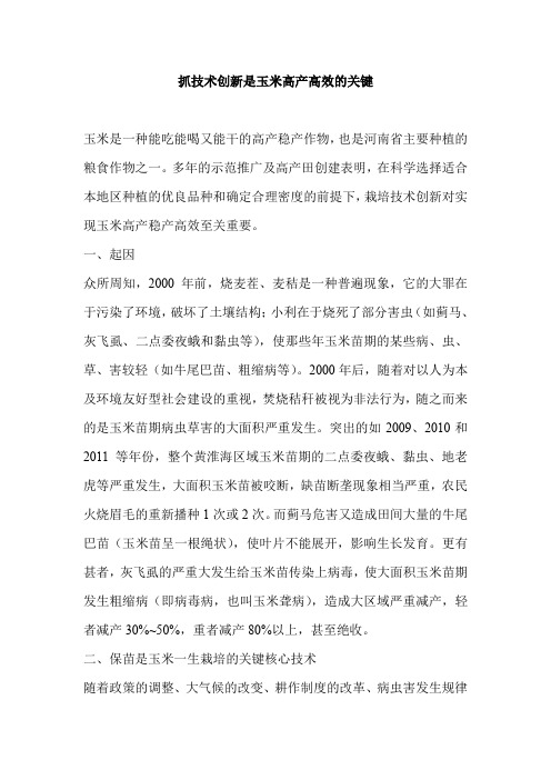 抓技术创新是玉米高产高效的关键